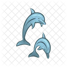 Dolphins  Icon