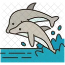 Dolphins Animal Marine Icon