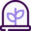 Dome Glass  Icon