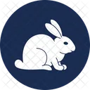 Domestic Animal Hare Pet Animal Icon