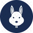 Domestic Animal Hare Pet Animal Icon