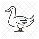 Domestic duck  Icon