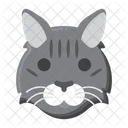 Domestic Longhair Pet Cat Cat Icon