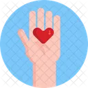 Donate  Icon