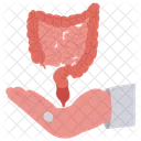 Donate intestine  Icon