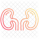 Donation Kidney  Icon