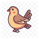 Paloma Pajaro Paloma Icono