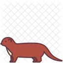 Doninha  Icon