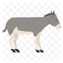 Artboard Animal Pet Icon