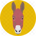 Donkey Face Mule Icon