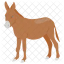 Donkey Idiot Jackass Icon