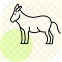 Donkey Pet Mammal Icon