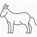 Donkey Pet Mammal Icon