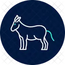 Donkey Pet Mammal Icon