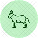 Donkey Pet Mammal Icon