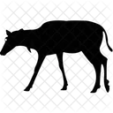 Ass Donkey Domestic Animal Icon