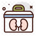 Donor Box  Icon