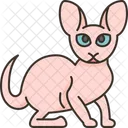 Donskoy Cat Pet Icon