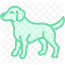 Garabato Perro Mascota Icono