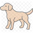 Garabato Perro Mascota Icono