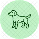 Garabato Perro Mascota Icono