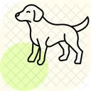 Garabato Perro Mascota Icono