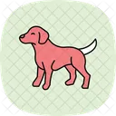Garabato Perro Mascota Icono
