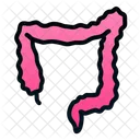 Dickdarm Mensch Organ Symbol