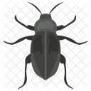 Dor Bug  Icon
