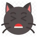 Dor gato  Icon