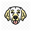 Golden Retriever Perro Icono