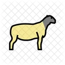Dorper Sheep  Icon