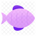 Dory Fish  Icon