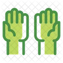 Dos  Icono