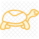 Dosenschildkrote Icon