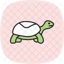 Dosenschildkröte  Symbol