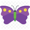 Dotted Pattern Butterfly  Icon