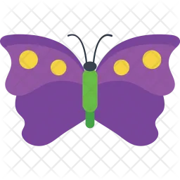 Dotted Pattern Butterfly  Icon