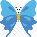 Double Blue Butterfly  Icon