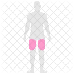 Douleur à la cuisse  Icône