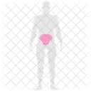 Douleur d'estomac  Icône