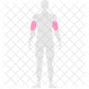 Douleurs musculaires  Icône