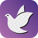 Bird Pigeon Fly Icon