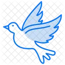 Dove  Icon