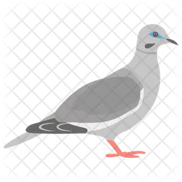 Dove  Icon