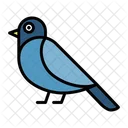 Dove Peace Bird Bird Icon