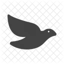 Dove Animal Wildlife Icon