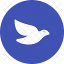 Dove Animal Wildlife Icon