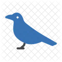 Dove Bird Fly Icon