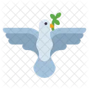 Dove Peace Bird Icon
